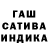 Марихуана сатива ACHARNE CHANNEL