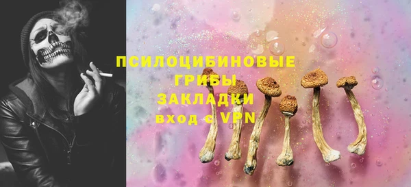 кокс Алексин