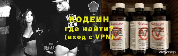 кокс Алексин