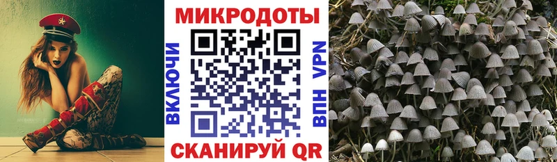 как найти закладки  Оханск  Галлюциногенные грибы Psilocybine cubensis 